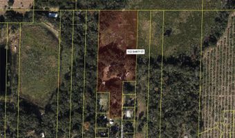 1122 DARITY St, Apopka, FL 32703
