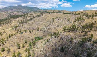 693 Cougar Dr, Bellvue, CO 80512