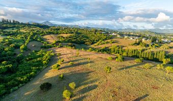 LOLO RD Lot #: 150, Kalaheo, HI 96741