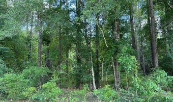 Crestview Dr lot 38, Abbeville, GA 31001