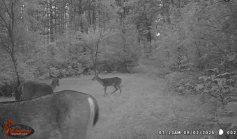 8752 HWY A, Almond, WI 54909