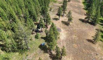 NNA Lots 23 And 24 Cloverland Estates, Asotin, WA 99402