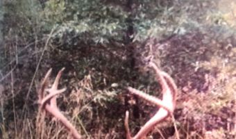 E 1931 RD, Antlers, OK 74523
