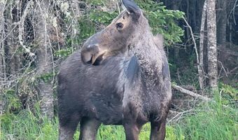 Pleasant Island Lane lot I, Adamstown Twp., ME 04970