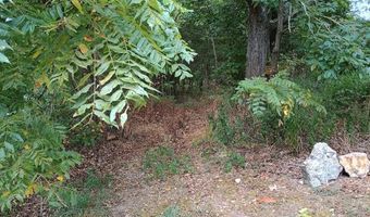 46 Private Road 160-190, Alton, MO 65606