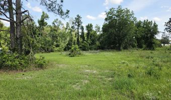 Sawmill, Ailey, GA 30410