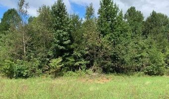 7322 Tribble Gap, Alto, GA 30510