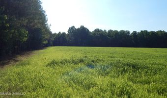 500 Cr 247 Country Rd, Bruce, MS 38915