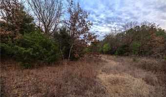Tract 3 Acme RD, Asher, OK 74826
