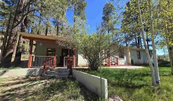 57 Pine Dr, Bayfield, CO 81122