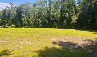 1042 Lake Cadeli Rd, Bartow, GA 30413