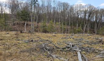 295 Shellstone Rd, Amsterdam, NY 12010