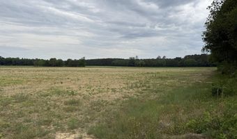 418 Menola St John Rd, Ahoskie, NC 27910