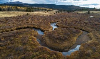 340 HIGH RIVER Ct, Alma, CO 80420