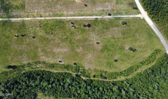 Bailey Cemetery Road, Altha, FL 32421