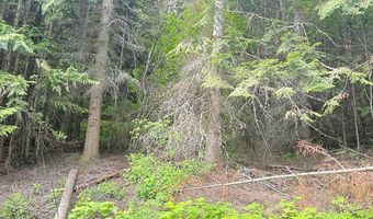 2868 Pine Island Rd, Bonners Ferry, ID 83805