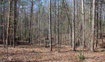 Walker's Mountain Road, Arrington, VA 22922