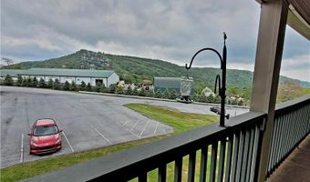 301 Pinnacle Inn Rd 3309, Beech Mountain, NC 28604