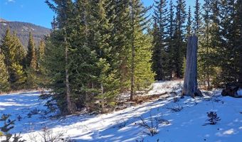 3553 RIVER Dr, Alma, CO 80420