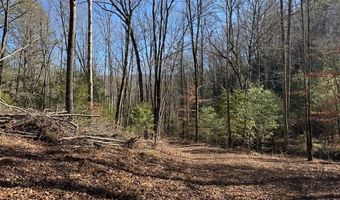 1834 Bristol Ave, Andrews, NC 28901