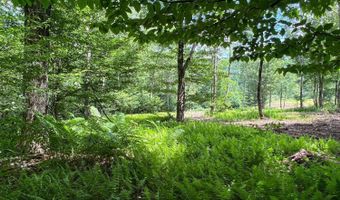 Woodland Hills Road, Andes, NY 13731