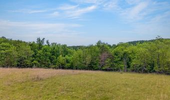 147 Iron Ore Ln, Barren Springs, VA 24313
