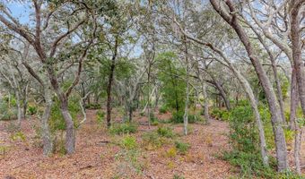 NE 131 Place, Archer, FL 32618