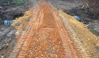 Delancey Road, Braxton, MS 39044
