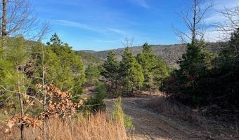 153 ACRES 34.6002 -95.08725, Albion, OK 74571