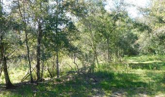 2221 NW PINE VIEW Rd, Arcadia, FL 34266