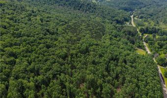 738 Four Mile Rd, Allegany, NY 14706