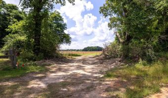 1704 Cobb Rd, Baker, FL 32531