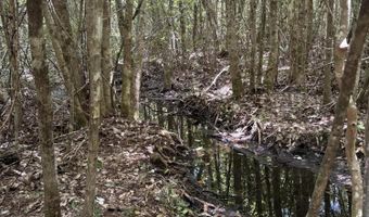 259 Forest Lake Rd, Beaumont, MS 39423
