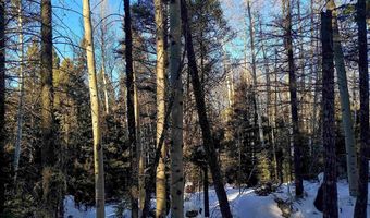 Lot 722 Santo Domingo Trail, Angel Fire, NM 87710