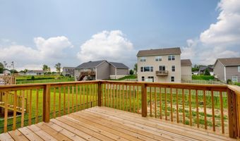 6306 Roman Rd, Allendale, MI 49401