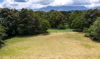 PUUOPAE RD, Kapaa, HI 96746