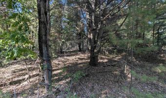 N Forest Lake Drive, Alger, MI 48610