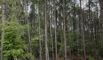 U.S. 49, Brooklyn, MS 39425