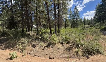 0 Grizzy Ln 9, Bonanza, OR 97623