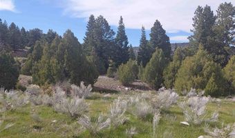 01195 Rito Hondo Rd, Antonito, CO 81120