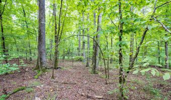1 Camino Rd, Hot Springs Village, AR 71909