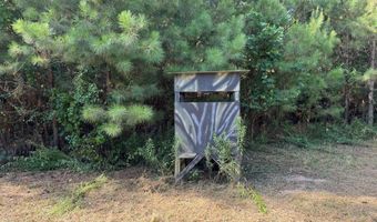 SW Auburn Drive, Bogue Chitto, MS 39629