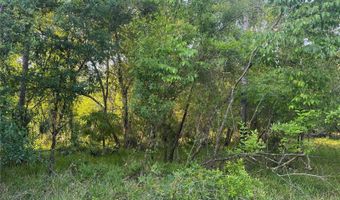1297 NE RIVER RAFT Dr, Arcadia, FL 34266