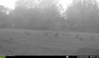 425 Rose Hill Rd, Bentonia, MS 39040