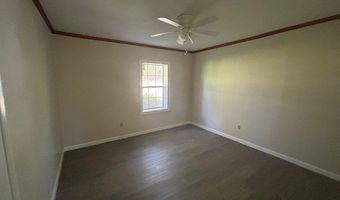 630 Boyette Cir, Attapulgus, GA 39815