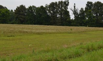 376 D O Laman Rd, Alamo, TN 38001