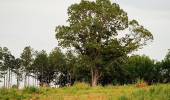 447 County Road 215, Abbeville, MS 38601