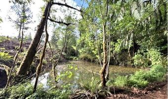NW LODGE Rd, Banks, OR 97106
