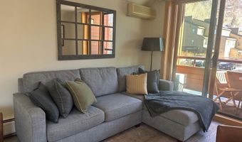 1136 Vine St 1136, Aspen, CO 81611