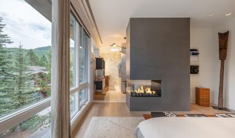 100 E Cooper Ave 11, Aspen, CO 81611